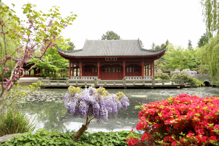 Haren Hortus Botanicus, Netherlands